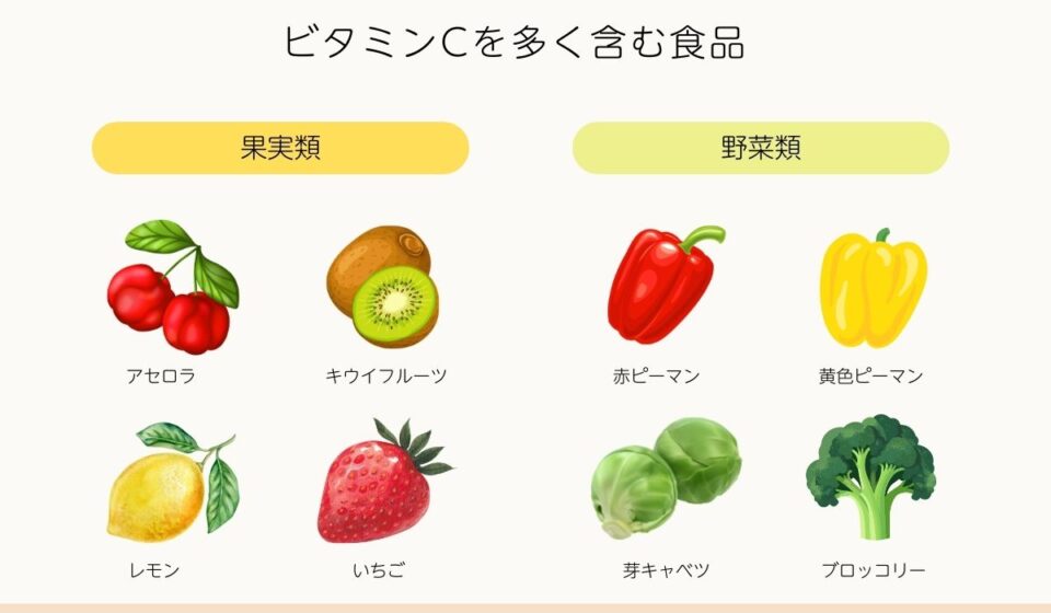 ビタミンCを多く含む食品