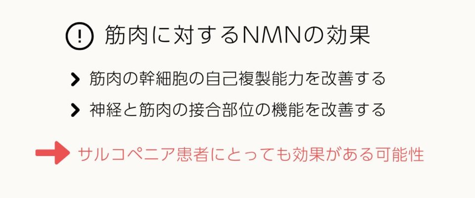 筋肉に対するNMNの効果